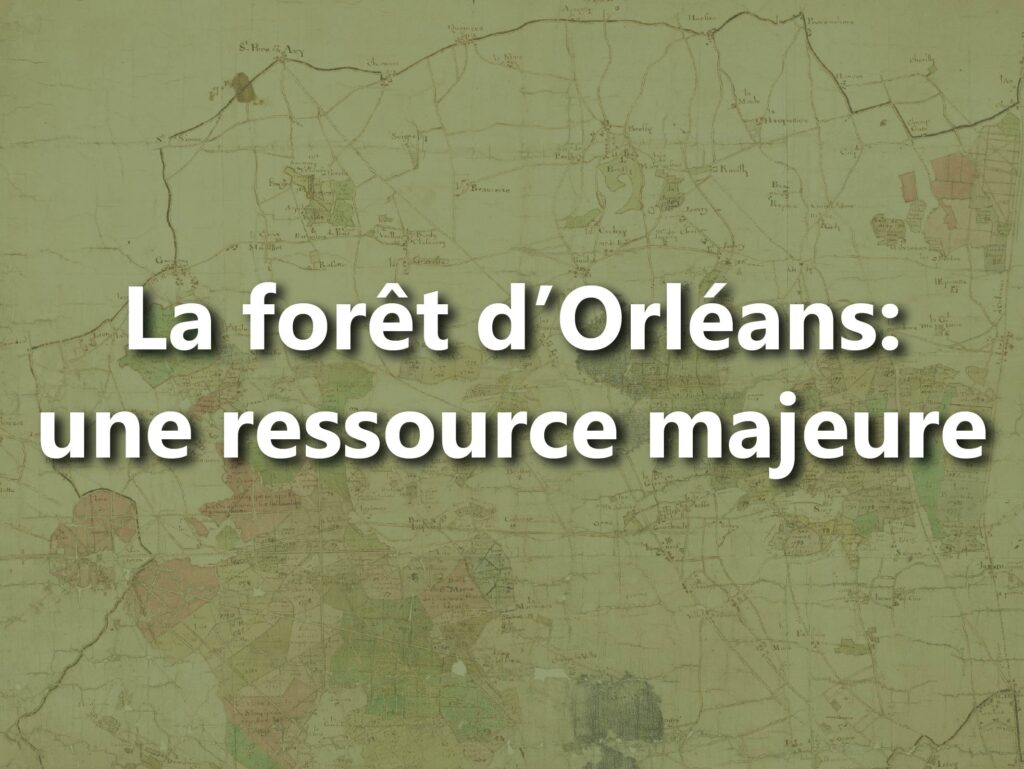 Extrait d'une carte ancienne de la Forêt d'Orléans avec un texte écrit dessus